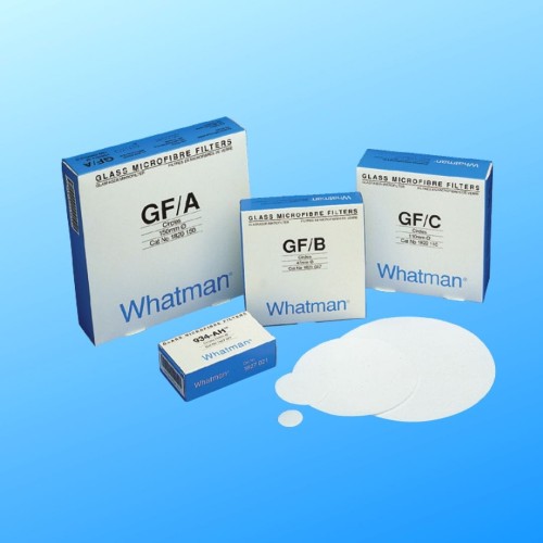 3127becde9c6b456b5c6481cf00f966b