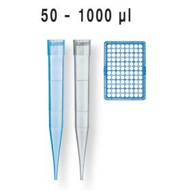 50_1000_neu_8ef8.jpg