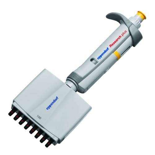 EPP-3125000036_main-1.jpg