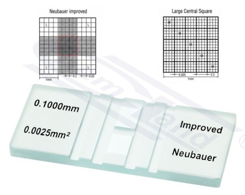 Komora zliczeniowa Neubauera ulepszona, podwójna siatka, głębokość 0,1 mm — CHEMLAND