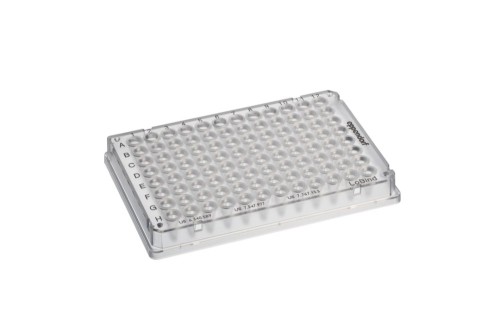 Płytka PCR Eppendorf twin.tec® PCR Plate 96 LoBind®, skirted, 150 µL, PCR clean, bezbarwny, 25 płytek