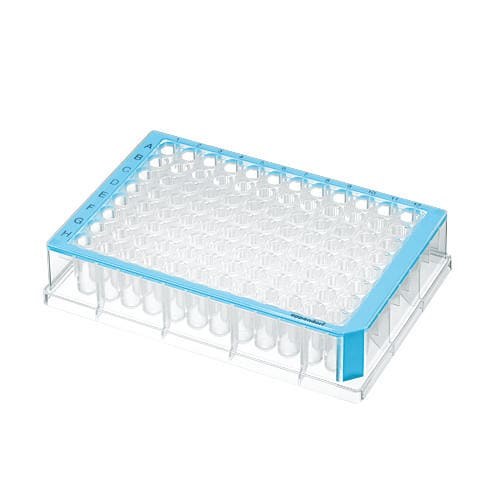 Płytka Eppendorf Deepwell Plate 96/500 µL, dołki przezroczyste, PCR clean, niebieski, 40 płytek (5 torebek × 8 płytek)