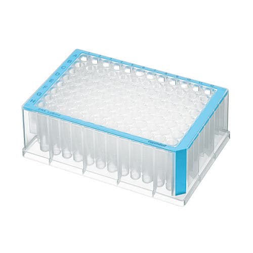 Płytka Eppendorf Deepwell Plate 96/1000 µL, dołki przezroczyste, 1 000 µL, PCR clean, niebieski, 20 płytek (5 torebek × 4 płytki)