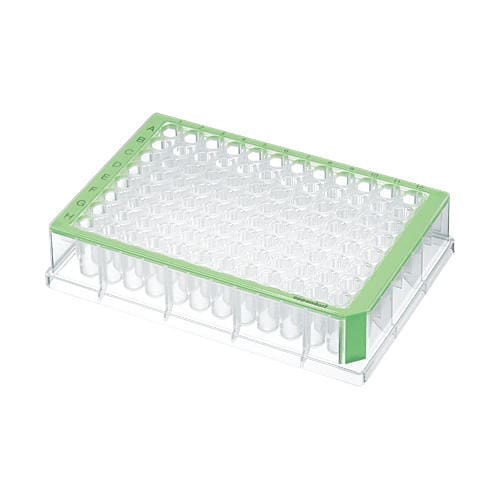 Płytka Eppendorf Deepwell Plate 96/500 µL, dołki przezroczyste, sterylne, zielony, 40 płytek (5 torebek × 8 płytek)