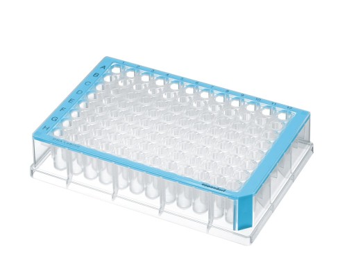 Płytka Eppendorf Deepwell Plate 96/500µL, DNA LoBind®, dołki przezroczyste, 500 µL, LoBind®, PCR clean, niebieski, 40 płytek (5 torebek × 8 płytek)