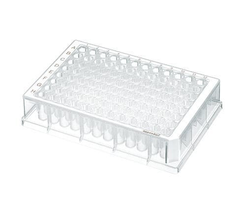 Płytka Eppendorf Deepwell Plate 96/500 µL, dołki przezroczyste, PCR clean, biały, 120 płytek (10 torebek × 12 płytek)
