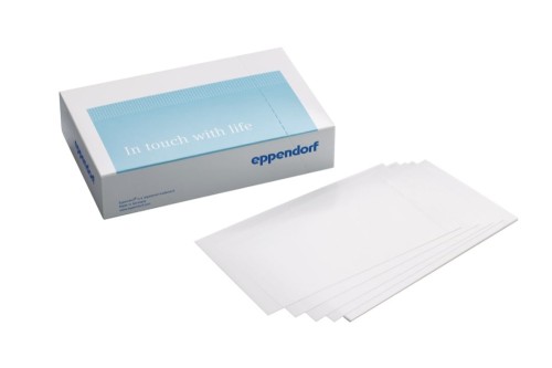 Eppendorf Storage Film, samoprzylepny, PCR clean, 100 szt. (2 torebki × 50 szt.)