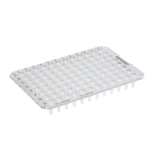 Płytka Eppendorf twin.tec® PCR Plate 96, niski profil, unskirted, 150 µL, PCR clean, bezbarwny, 20 płytek
