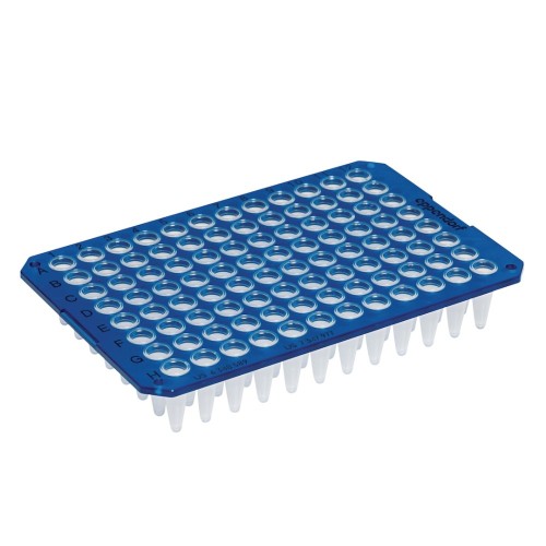 Płytka Eppendorf twin.tec® PCR Plate 96, unskirted, 250 µL, PCR clean, niebieski, 20 płytek