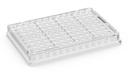 Płytka PCR Eppendorf twin.tec® Trace PCR Plates 96 BioBased, skirted, 150 µL, PCR clean, bezbarwny, 25 płytek
