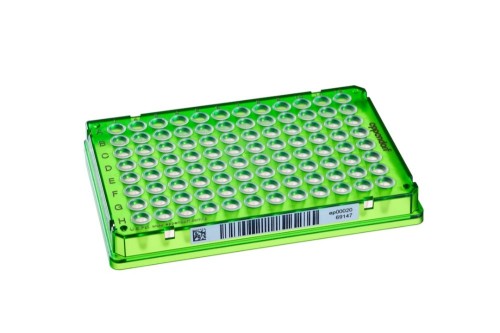 Płytka Eppendorf twin.tec® PCR Plate 96/150 µL, skirted, dołki bezbarwne, 2D SafeCode, PCR clean, zielony, 25 płytek (5 torebek × 5 płytek)