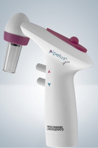 Pipetus junior.jpg